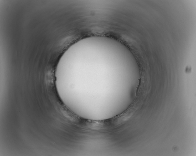 X0000094080768200711091215