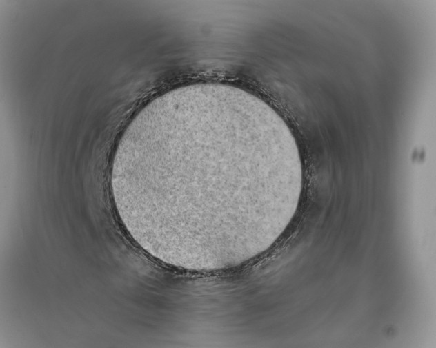X0000094080769200711091214