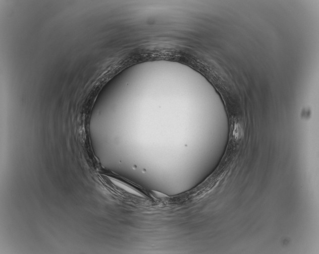 X0000094080771200711091214