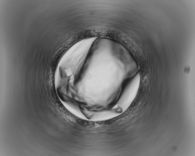 X0000094080772200711091214