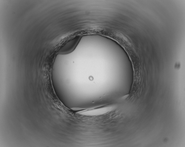 X0000094080773200711091214