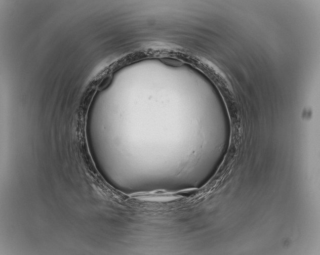 X0000094080775200711091214