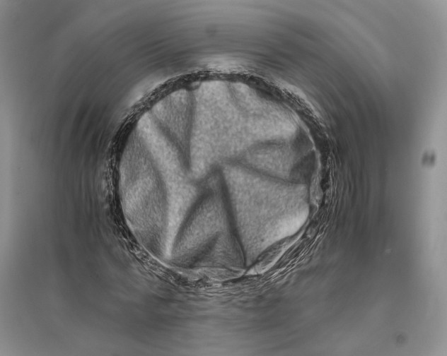X0000094080776200711091214