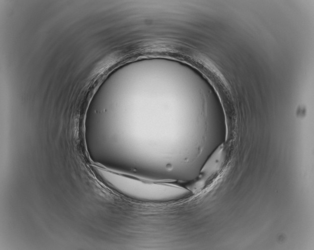 X0000094080777200711091214