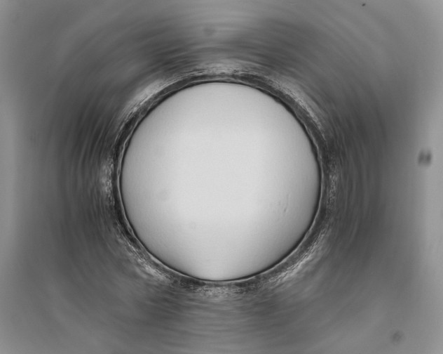 X0000094080778200711091214