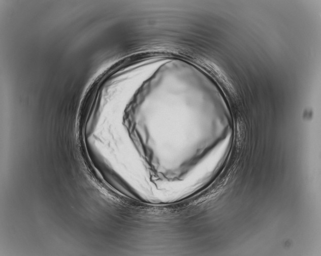 X0000094080780200711091214