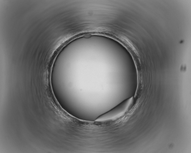 X0000094080781200711091214