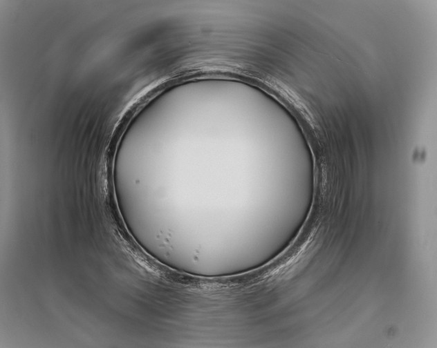 X0000094080782200711091214