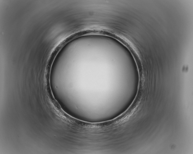 X0000094080783200711091214
