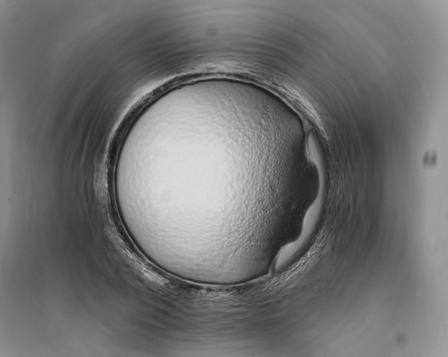 X0000094080784200711091214