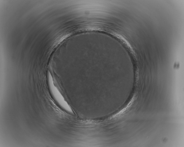 X0000094080785200711091214