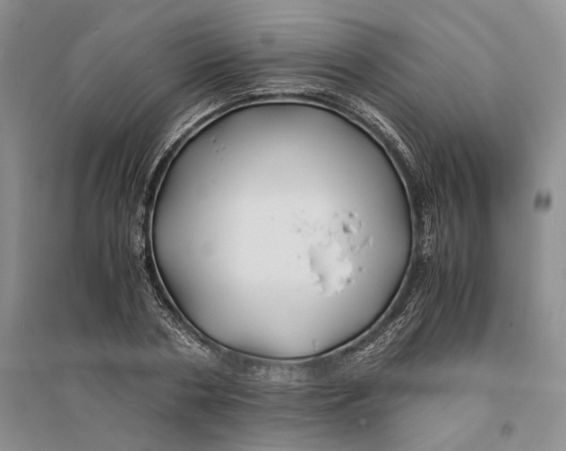 X0000094080786200711091214