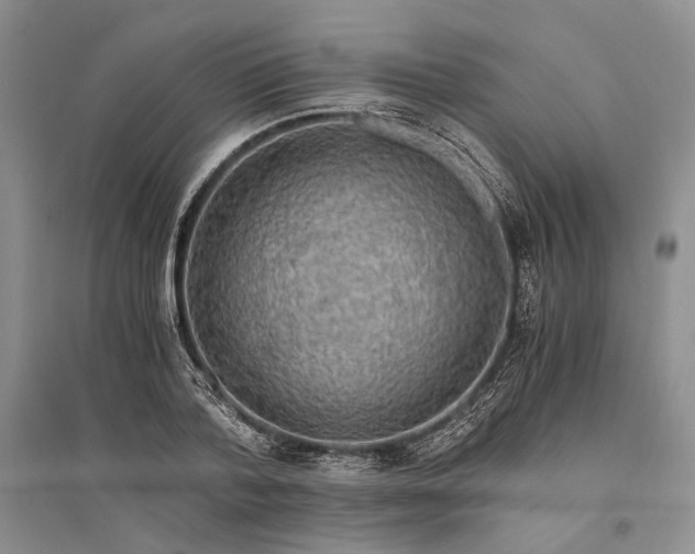X0000094080788200711091214