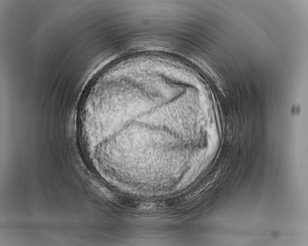 X0000094080790200711091214
