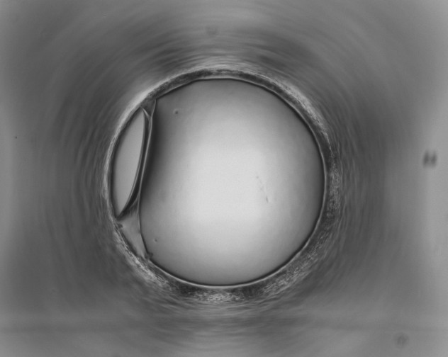 X0000094080791200711091214