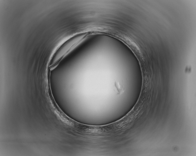 X0000094080792200711091214