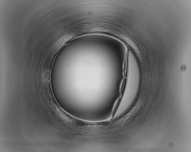 X0000094080793200711091214