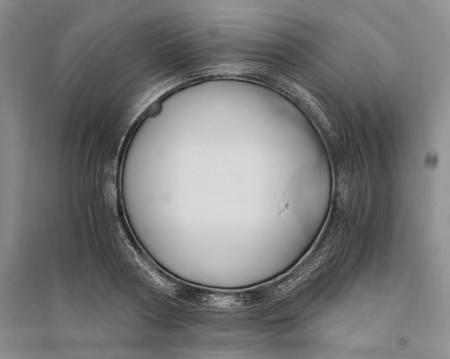 X0000094080794200711091214