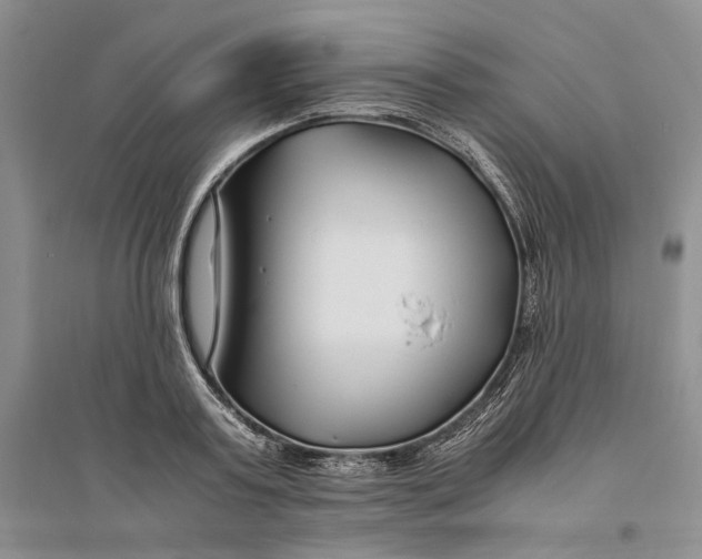 X0000094080795200711091214