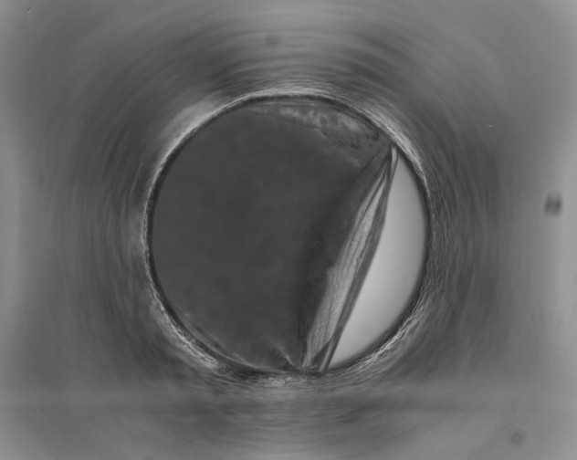 X0000094080797200711091213