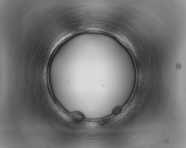 X0000094080798200711091213
