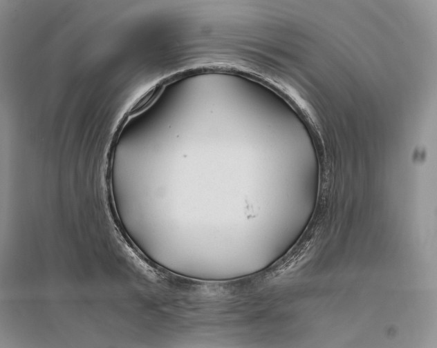 X0000094080799200711091213