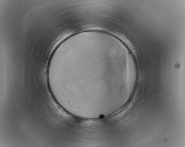 X0000094080806200711091213