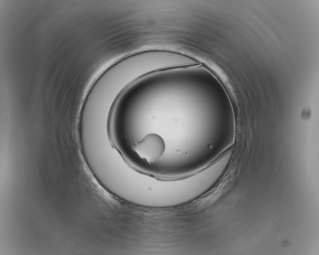 X0000094080807200711091213