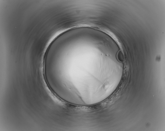 X0000094080811200711091213
