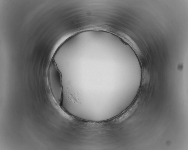 X0000094080812200711091213