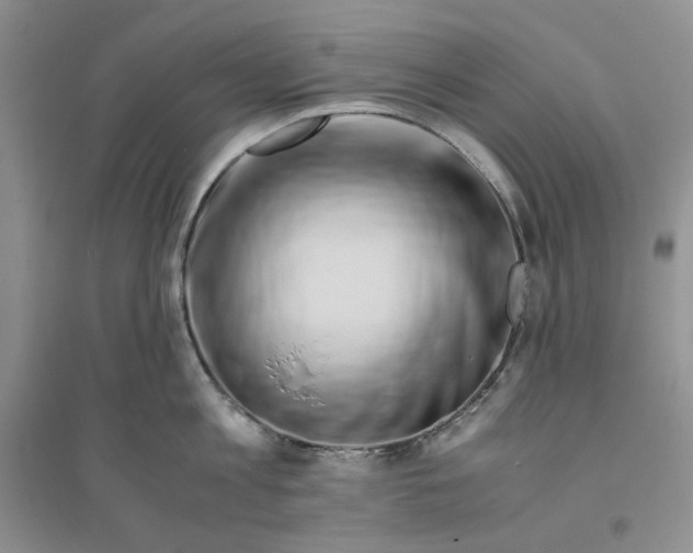 X0000094080813200711091213