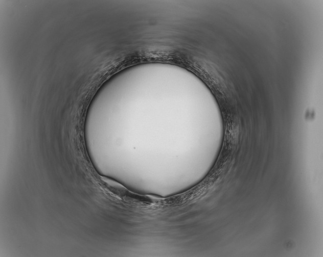 X0000094080817200711091213