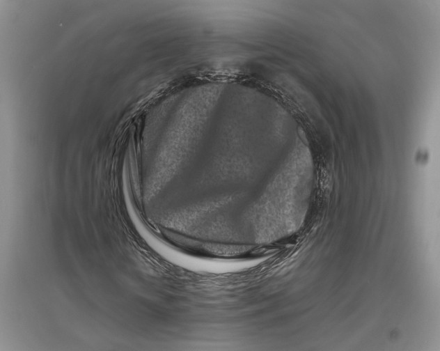 X0000094080818200711091213