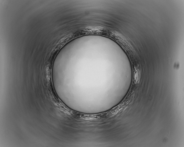 X0000094080819200711091213