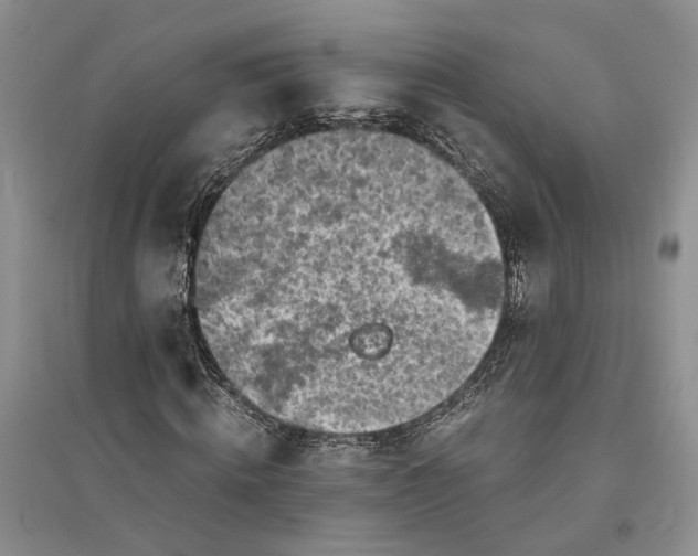 X0000094080820200711091213