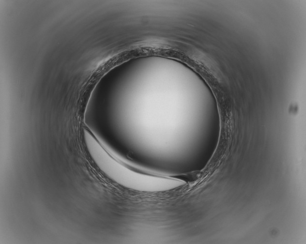 X0000094080822200711091213
