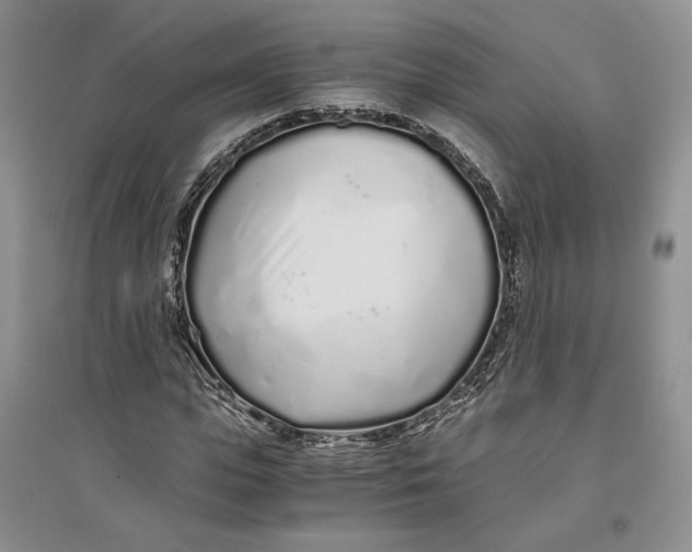 X0000094080823200711091213