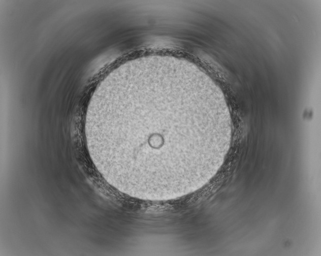 X0000094080824200711091213