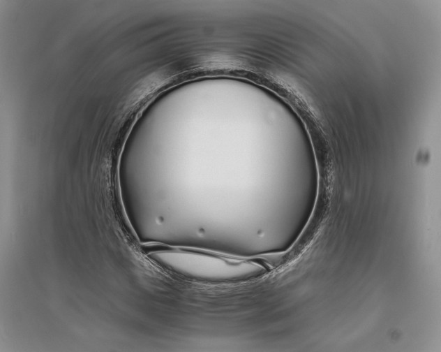 X0000094080825200711091213