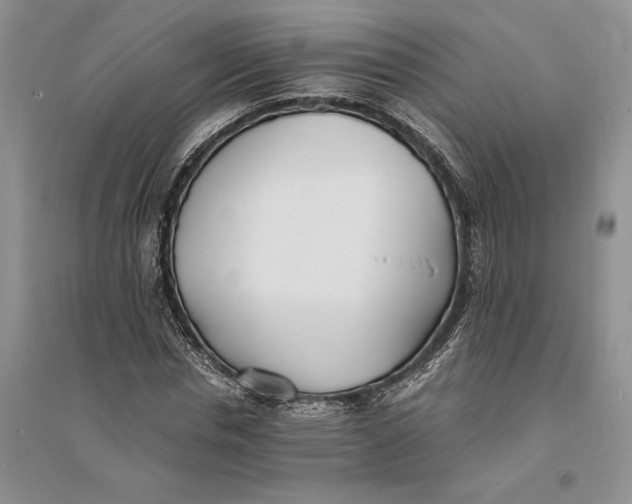 X0000094080826200711091213