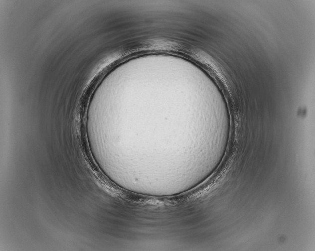 X0000094080827200711091213