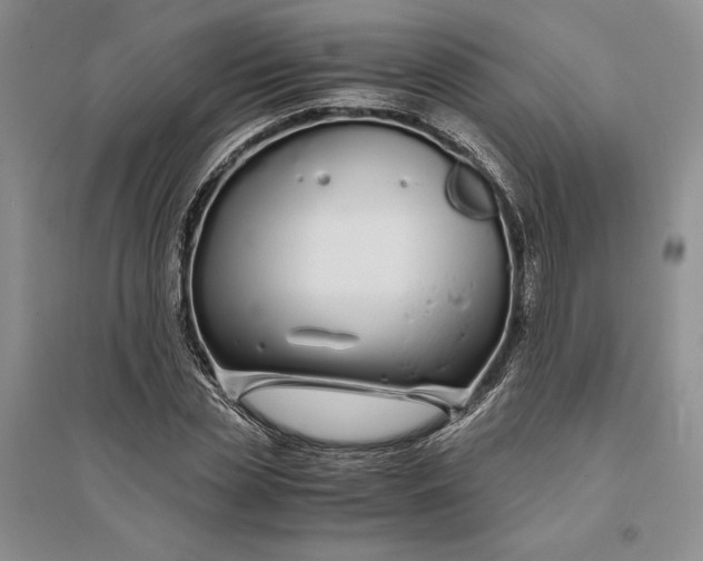 X0000094080829200711091213