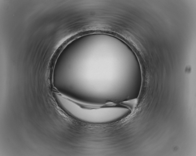 X0000094080830200711091213
