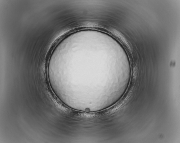 X0000094080831200711091213