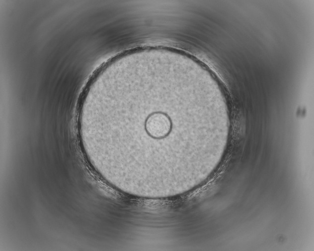 X0000094080832200711091213