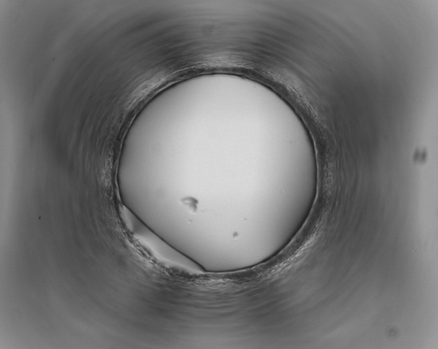 X0000094080833200711091213