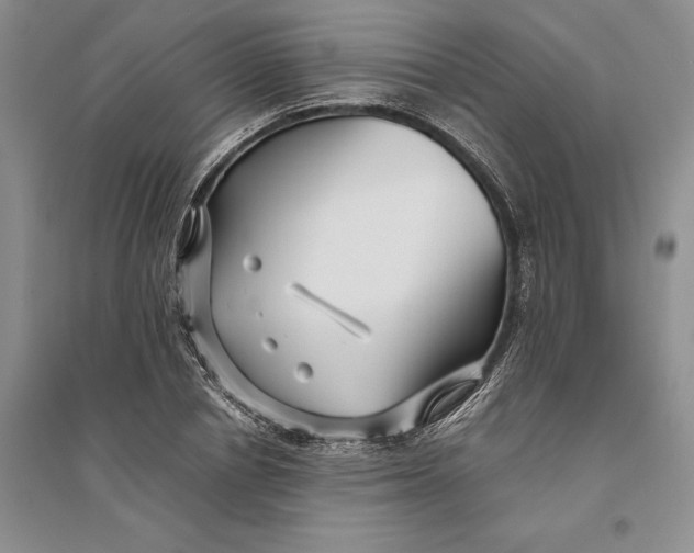 X0000094080834200711091213