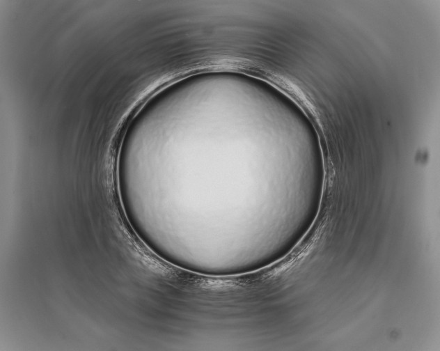 X0000094080835200711091213