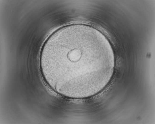 X0000094080836200711091213