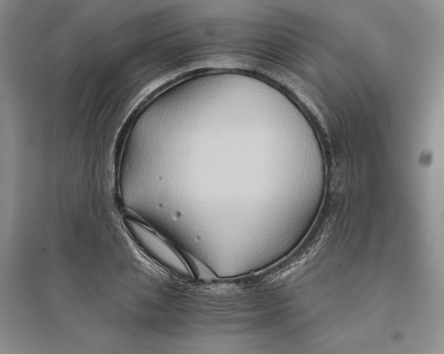 X0000094080837200711091213